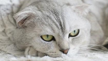 反差大赛：为何一波接一波把人带进去了，这波被追着问，不是没有原因