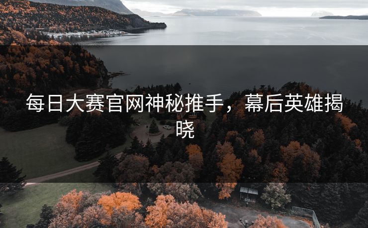 每日大赛官网神秘推手，幕后英雄揭晓
